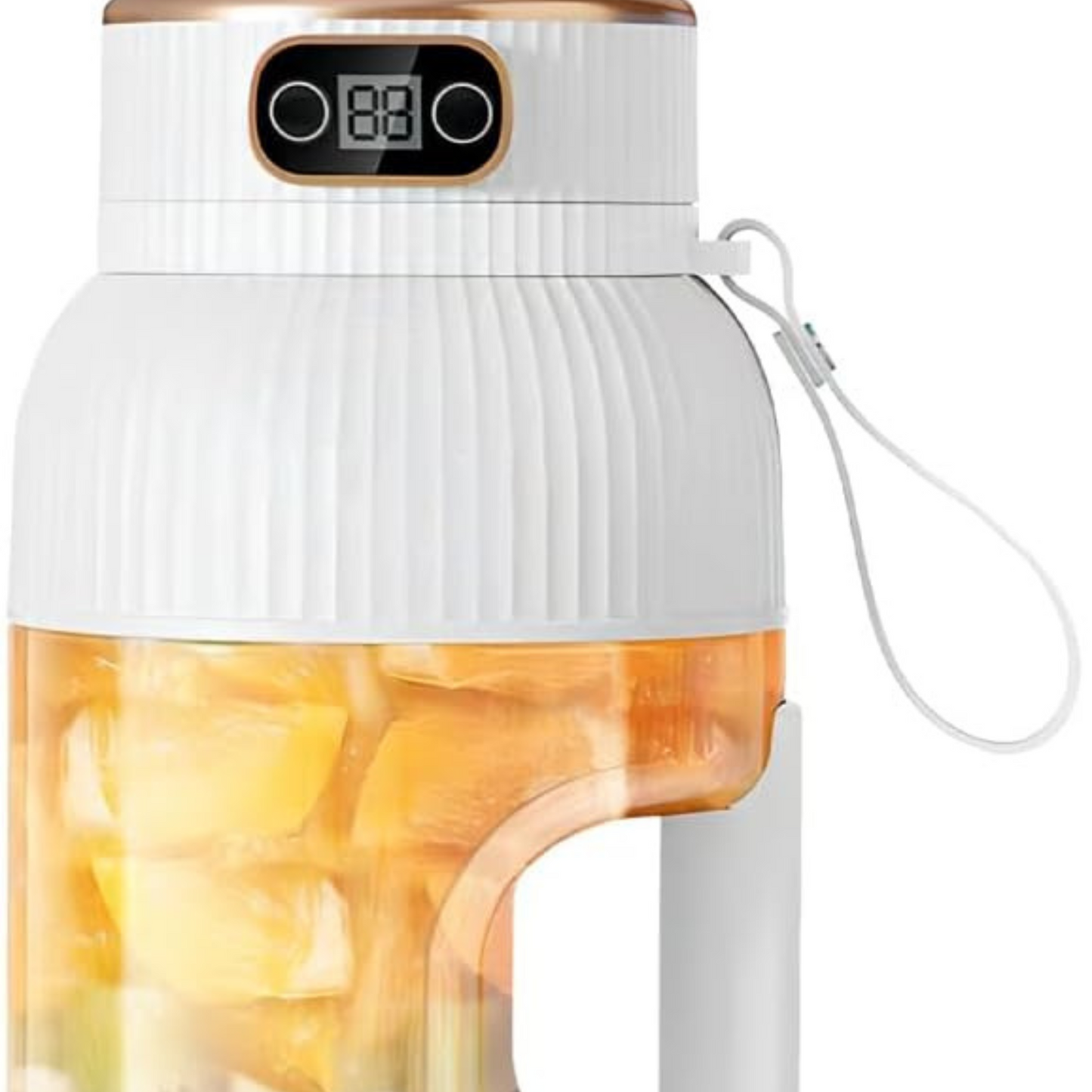 LICUADORA DE FRUTAS PORTATIL
